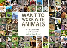 Search and apply for the leading dog training job offers. Work With Animals At Animal Welfare Wildlife And Veterinary Jobs