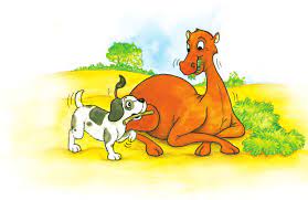 L read the chapter titles again and ask questions about them to stimulate the children's interest, for example: Https Ncert Nic In Textbook Pdf Heih101 Pdf