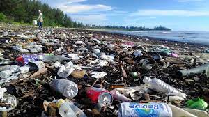 Company records show jingye was set up in malaysia in october 2017, three months after china said it would ban imports of foreign waste from 2018. Human Writes Malaysia Rated One Of The World S Worst For Plastic Pollution The Star