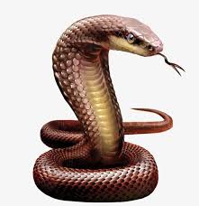 Snakes Hydra Poison S Png Transparent Image And Clipart For Free Download Cobra Snake Snake Diamond Painting