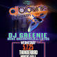 DJ Brownie of The Disco Biscuits and DJ Greenie of Lotus presented by Ambient Alchemists