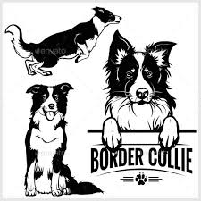 Black And White Collie Dog Clipart Border Collie Dog Vector Set Isolated In 2020 Dog Vector Collie Dog Border Collie Art