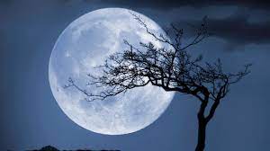 It also means that the moon becomes its own guide or ruler in this sign as it has no guiding planet. How To Harness The Blue Moon S Magickal Energy To Cast Spells Allure