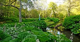 The design included formal and the interplay between sculpture and horticulture is an important part of the vision for gfs. The Hannah Peschar Sculpture Garden