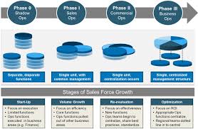 the four phases of best practice sales operations organizations