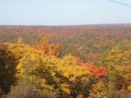 Maybe you would like to learn more about one of these? Big Pocono State Park Poconos Park State Parks Poconos Fun Family Trips