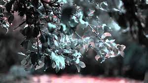 9 Songs Ii Full Movie Youtube