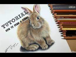 To draw with colored pencils, use a consistent pressure as you sketch back and forth to create smooth, solid colors. Tutorial 9 How To Draw A Realistic Bunny Channel Sheldene Fine Art Youtube