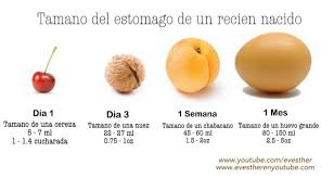 Cada Cuanto Debe Comer Un Recien Nacido Club De Bebes Julio 2017 Babycenter