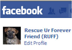 See more ideas about pet adoption event, pet adoption, adoption. Events