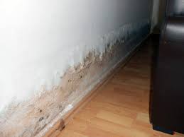 Schreibe es uns in die kommentare und hilf uns, die liste zu erweitern. Schimmel Im Wohnzimmer Gutachter Zeigt Wo Es Schimmelt