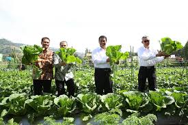 Viralnya kaltara mulai dari sini media. Spekta Horti 2018 Di Lembang Jabar Inovasi Terkini Dari Hortikultura Berita Raya Online Beritarayaonline Co Id