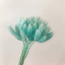 Find the right flowers for your spring wedding in this gorgeous collection of bridal bouquets and floral centerpieces. Amazon Com 50pcs Home Decoration Lagurus Ovatus Rabbit Tail Dried Flowers Real Flower Eternal Flower Dried Grass Flower Bouquet Photo Props Home Party And Wedding Decor Blue Kitchen Dining