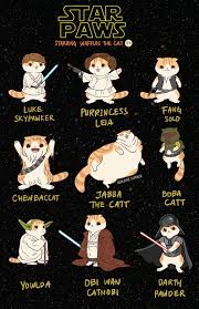Star Paws On Storenvy Star Wars Humor Star Wars Memes Star Wars