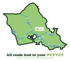 The veterinarians and team of kaka'ako pet hospital firmly believe that pets are a member of the family and we are dedicated to providing the highest quality veterinary care possible for your pet. Veterinarian In Honolulu Hi Petvet Animal Hospital