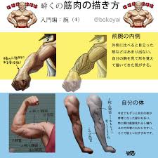 身体 おしゃれまとめの人気アイデア pinterest cristian israel 描き方 筋肉 人体