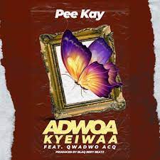 Adwoa Kyeiwaa (feat. Qwadwo Acq) - Single by Pee Kay on Apple Music