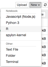 Adopted the joint army/navy radiotelephony alphabet to standardize communication among all branches of the u.s. R Data Types Structures Datacamp