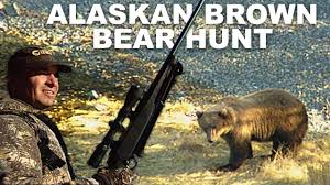 The outfitter was a wonderful to work with and met all of our needs. Running Brown Bear Stopped In His Tracks Throwback Youtube