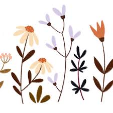 Blumenwiese Wild Flowers Illustration By Lotta Langrock Blumenzeichnung Blumen Kunst Illustration Blume