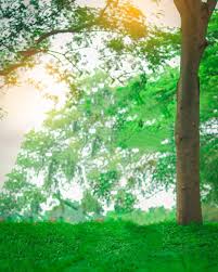 We did not find results for: Top 50 Atharv Raut Background Download 2020 Hd