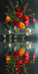 Geburtstagsblumen inklusive grusskarte versenden floraprima de. Pin Von Thor Dis Auf Solo Gifs Only Gifs Schone Blumen Bilder Schone Blumen Blumentapete