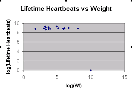 When these conditions are alleviated the first heart sound returns to normal. Animal Longevity And Scale