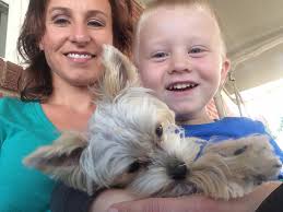 Dog reunited with mom in Rockford, IL