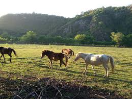 Nama rumah makan ini berasal dari bahasa jawa yaitu nyamleng yang berarti enak sekali. Kaka Tolong Bantu Yh Maksudnya Yg Di Titik Titik Rumah Makan Nyampleng Di Brainly Co Id