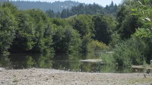 Maybe you would like to learn more about one of these? Hendy Woods State Park Philo Ca California Beaches