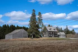 Lena Dunham Reenacts Scene From Andrew Wyeth Painting in Cushing