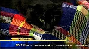 We are dedicated to providing. Boots Sweet And Affectionate Cbs8 Com