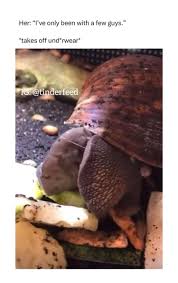 What 💀 : rbadwomensanatomy