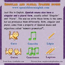 Changing Spanish Nouns From Singular To Plural Most Spanish Nouns Usually Have A Singular And Spanish Teacher Resources Learning Spanish Free Spanish Lessons