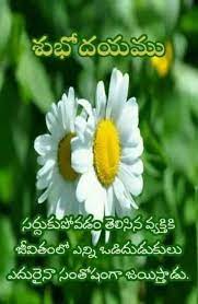 Pin By Parvathi Parvathi On Life Good Morning Quotes Best Quotes Morning Quotes