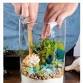 Adult Workshop: Summer Terrarium