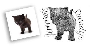 Grumpy cat.:.'s board cat drawing, followed by 139 people on pinterest. Celebrate Your Cat With An Original Pen Ink Drawing From Inking Portraits