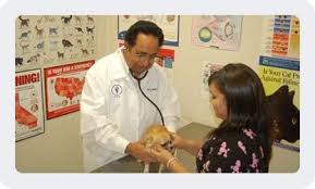 Weekend availability is a must. Piedmont Hills Animal Hospital 84 Photos 160 Reviews Veterinarians 1265 Piedmont Rd San Jose Ca Phone Number