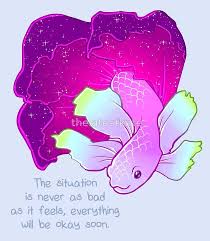 Hd1 1080 footage of perfectly isolated fighter fish (siamese) swimming under water surface and disappear at the end revealing white background. 80 Inspirational Quotes Ideas Cute Animal Quotes Inspirational Quotes Inspirational Animal Quotes