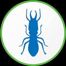 Suspend sc's broad label in. Terminix Pest Control Easley Sc 29640 Pest Exterminators Near Me