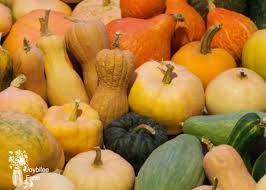 We did not find results for: Growing Squash To Feed Your Tribe Through The Winter Joybilee Farm