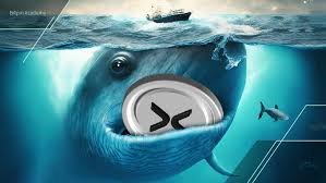 چرا نهنگ‌های ریپل در حال فروش هستند؟ تحلیل XRP
