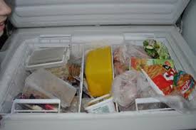 In general, try to separate your meat, cheese. Organizing A Chest Freezer Ideas Solutions