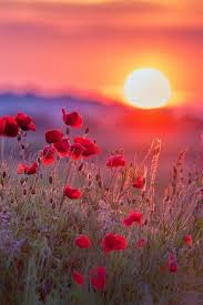 Les Plus Belles Fonds D Ecran Paysage En 45 Photos Paysages Printemps Beaux Fonds D Ecran Fond Ecran Gratuit Paysage
