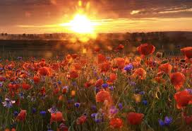 Die tage werden wieder länger, auch wenn es mit der kälte noch lange nicht vorbei ist. Heute Der Langste Tag Des Jahres 2005 Foto Bild Sonnenaufgange Himmel Universum Natur Bilder Auf Fotocommunity
