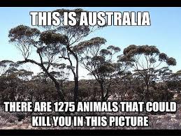 25 Hilarious Australian Memes That Prove Australia Might As Well Be Its Own Planet Australia Funny Funny Memes About Life Australian Memes