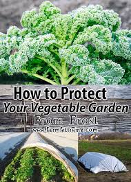 Check spelling or type a new query. How To Protect Your Vegetable Garden From Frost Farm Fit Living
