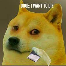 Share doge wallpaper 1920×1080 with your friends. How Can We Cheer Doge Up The Stuff In The Baggy Is A Drug R Dogelore Ironic Doge Memes Know Your Meme