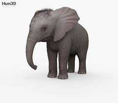 Elephant Calf Hd 3d Model Elephant 3d Model Baby Elephant
