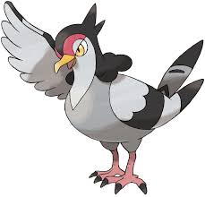 Tranquill Black Pokemon Pokemon Pokedex Pokemon Website